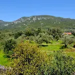 Seaside Giokos Apartament