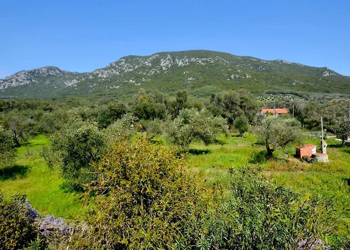 Seaside Giokos Διαμέρισμα